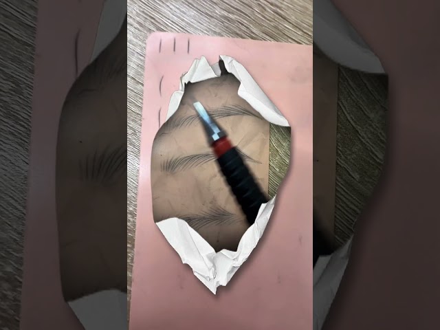 Số Sợi Cơ Bản mà Các Anh Chị Mới Học Phun Xăm Phải Nắm #hocphunxamthammy #hocphunxam