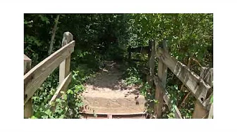Hiking Castlewood State Park Holy Tree! GoPro 12 @ 5.3K