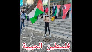 manifestazione pro-palestina a treviso italia