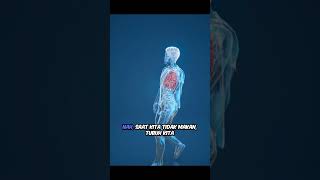 Puasa Bukan Cuma Menahan Lapar, Ini Manfaat Ilmiyahnya  #ilmukedokteran #faktamenarik #fyp