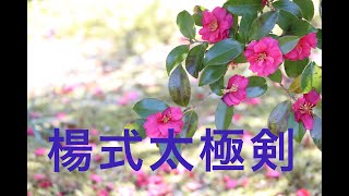 五十六式 楊式太極剣＊ズームバージョン⚔真風太極拳