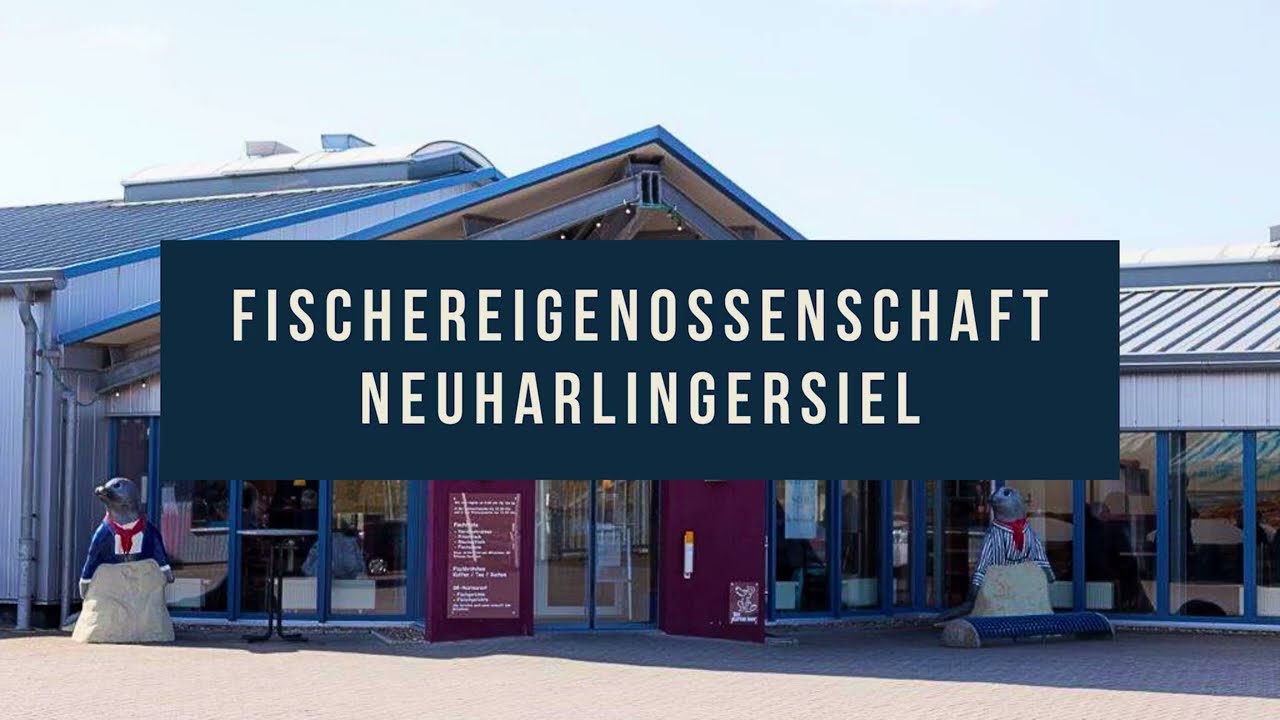 Fischereigenossenschaft Neuharlingersiel Stellenausschreibung