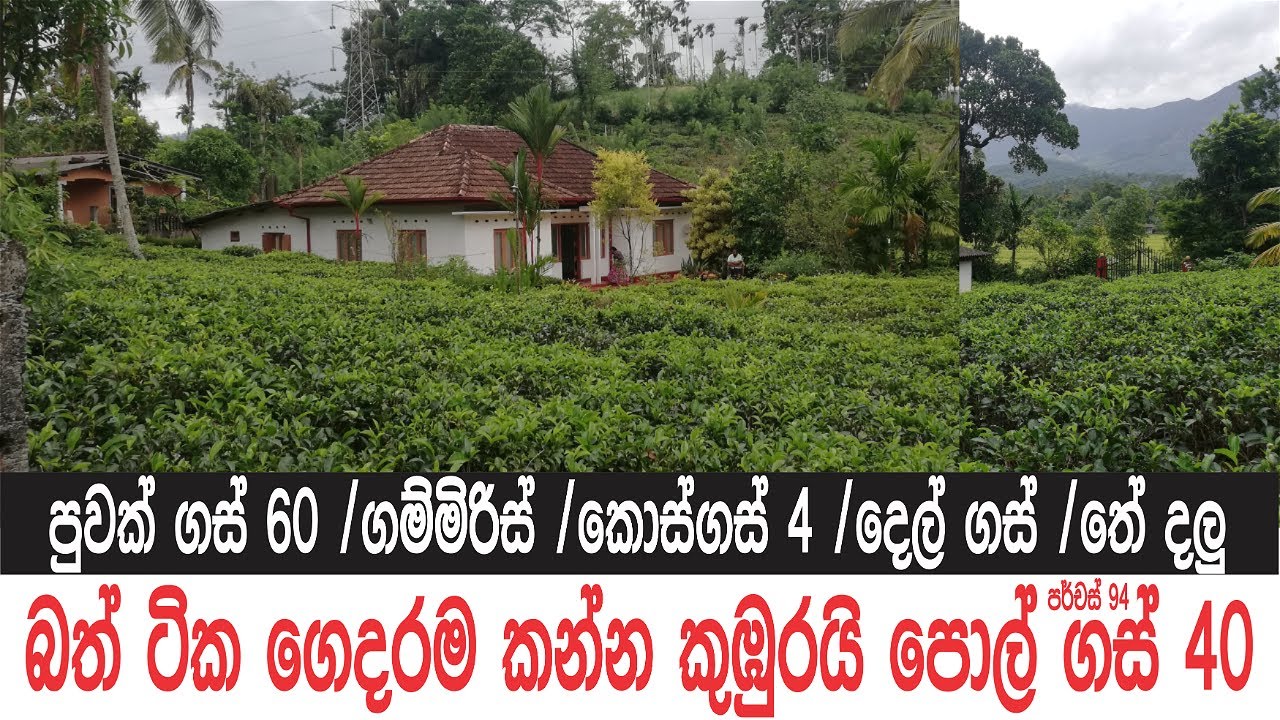 කවුද ආස නැත්තේ මේ වගේ ගමකින් ගෙයක් ගන්න? |Low Budget House Sale in Sri Lanka|@ApeSuduMalli-සුදුමල්ලි