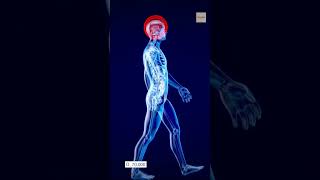 How Many Thoughts Does The Average Person Have Per Day?