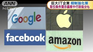 政府の有識者会議　巨大IT企業への規制強化策示す(19/04/25)