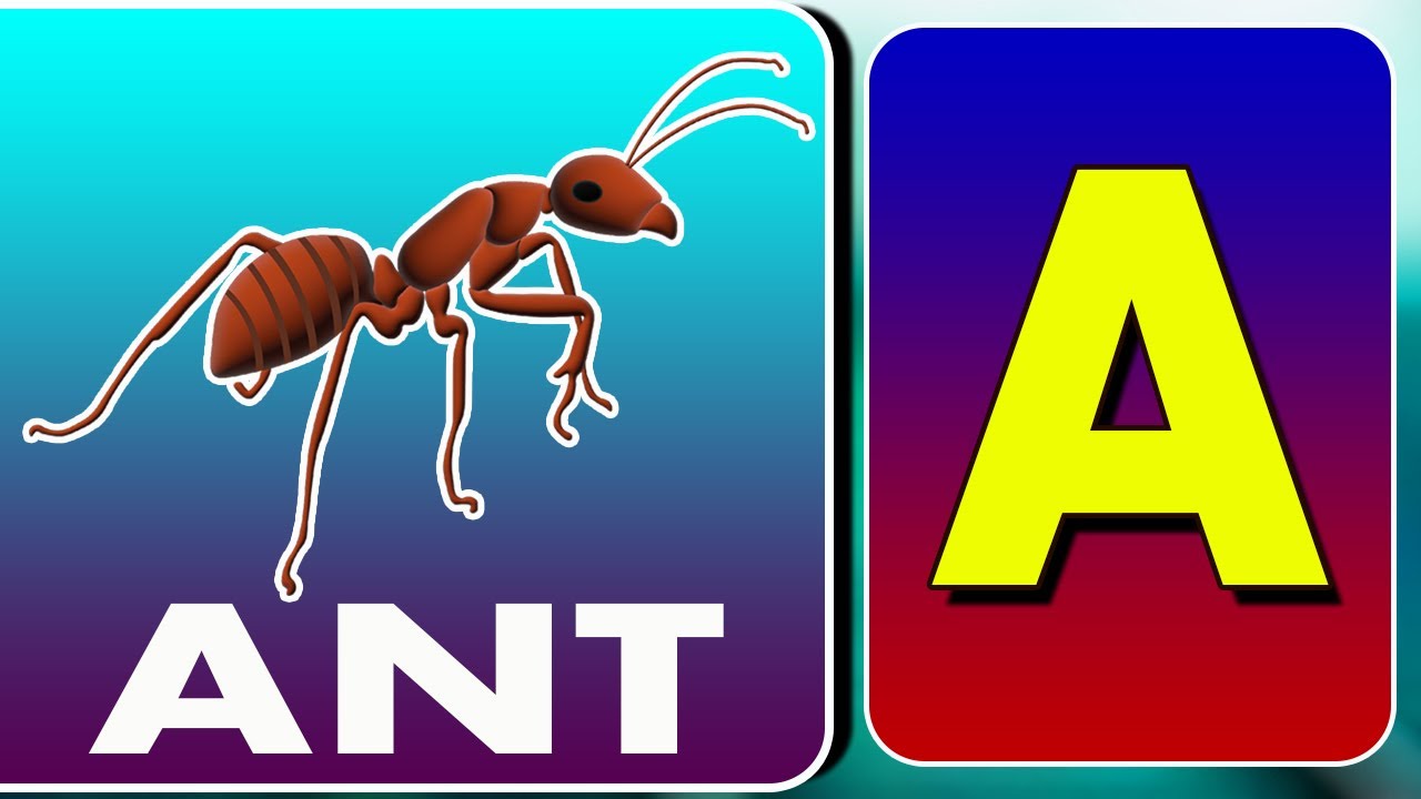 ABC ALPHABET, A FOR ANT, B FOR BUTTERFLY, abcd, phonics song, Learning ...