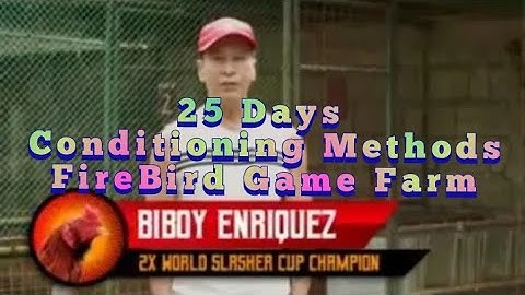 25 Days Conditioning ( FireBird Game Farm ) By: Sir Biboy Enriquez