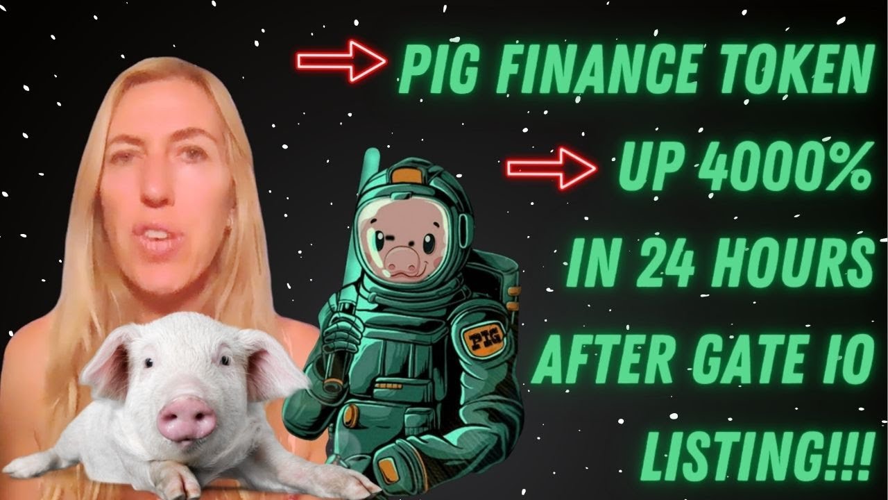 PIG Finance Token Up 4000% in 24 Hours After Gate io Listing!!!
