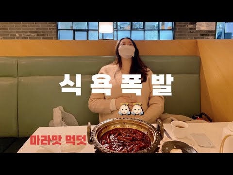 New Update vlog. 쌍둥이 임신 17~18주 | 식욕폭발 | 탈무드 태교동화 | 시추안하우스 | 김치찌개, 쏘야, 카레 | 임신 중기 영양제 | 17~18 weeks with TWINS