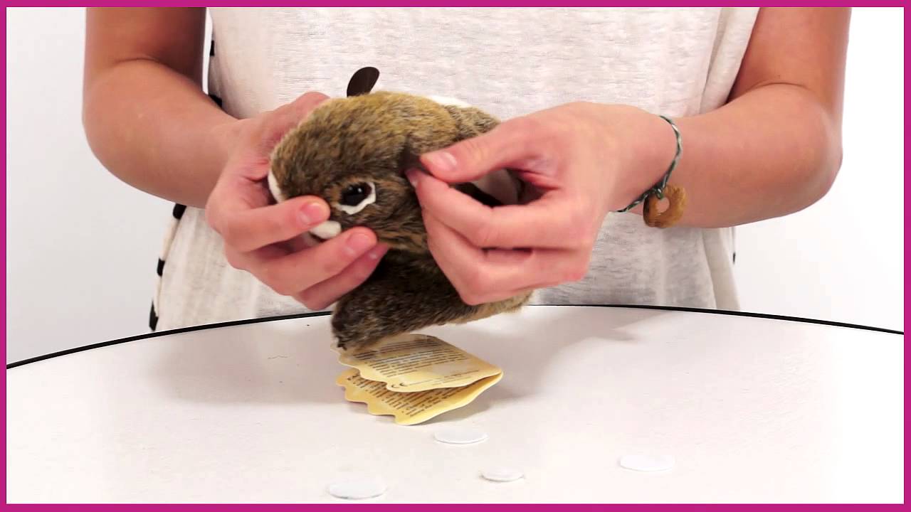 Video: Chipmunk na ruku