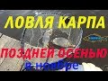 Рыбалка поздней осенью / Отличный клев карпа в ноябре на пруду Бражник Белгородской области