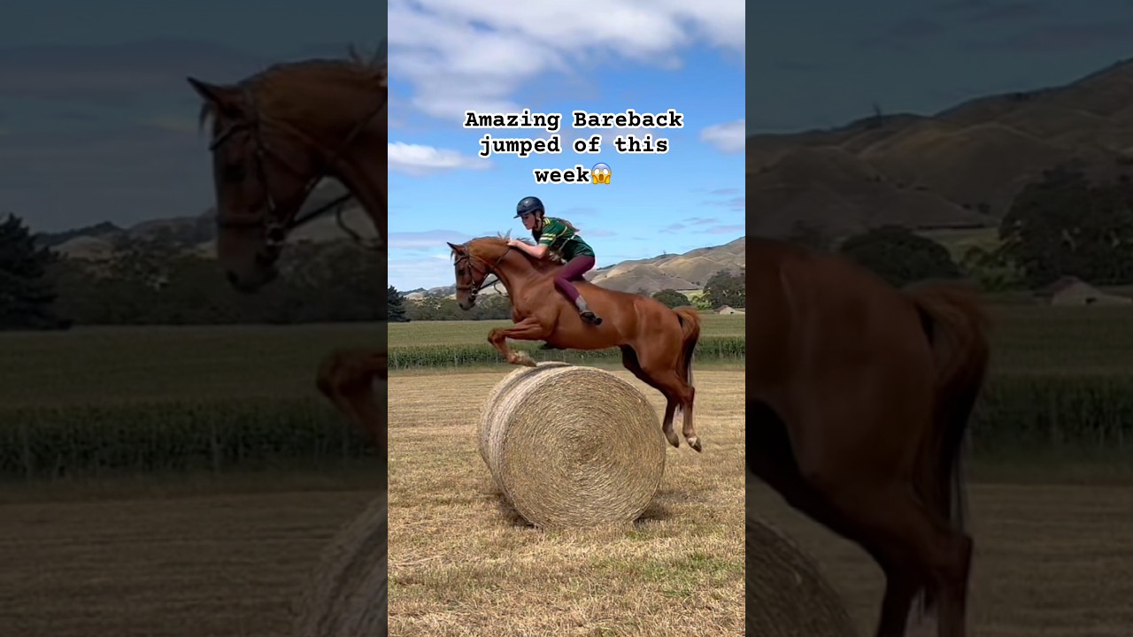 Amazing Bareback jumped 
