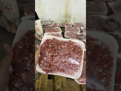 Hidangan terbaik Gaza