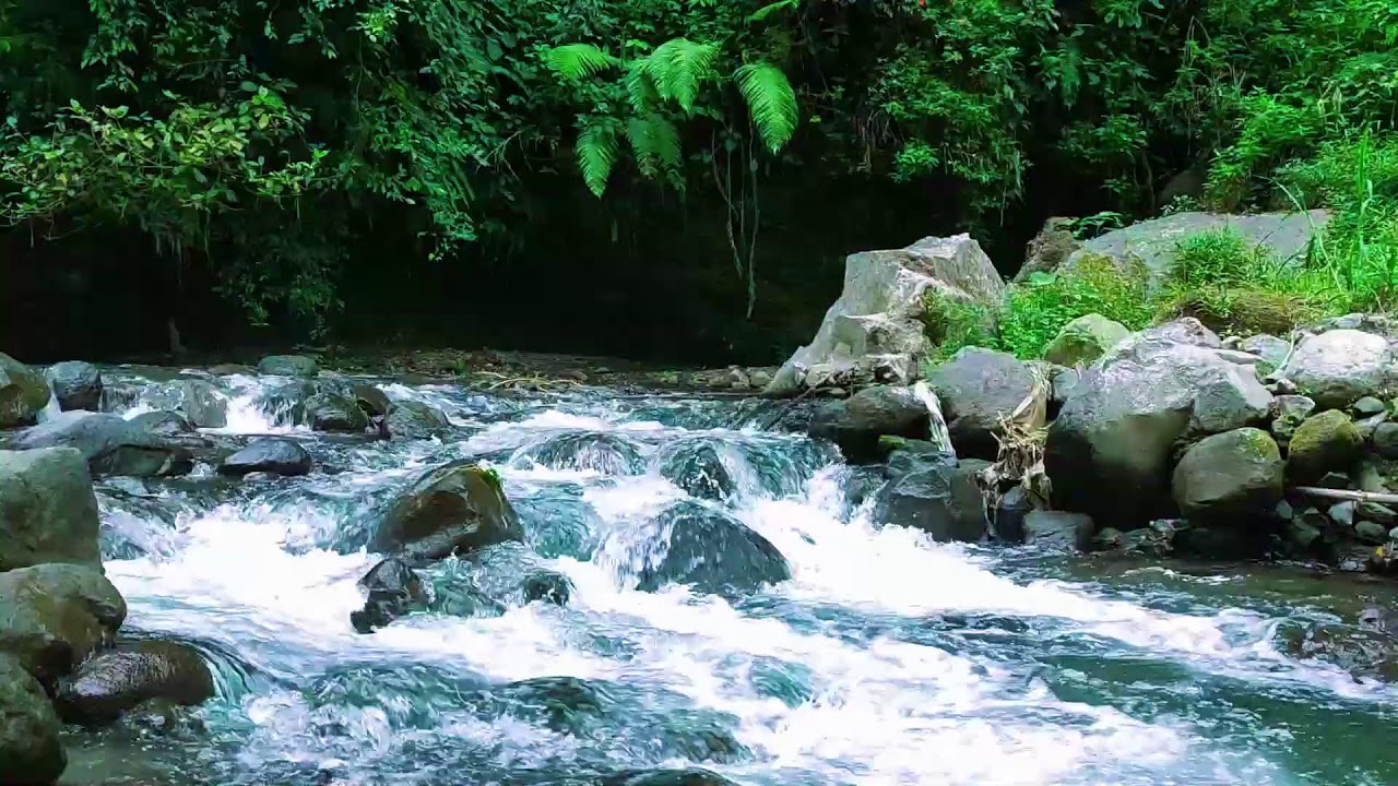 Natures Powerful River  10 Hours Anxiety  Insomnia Therapy