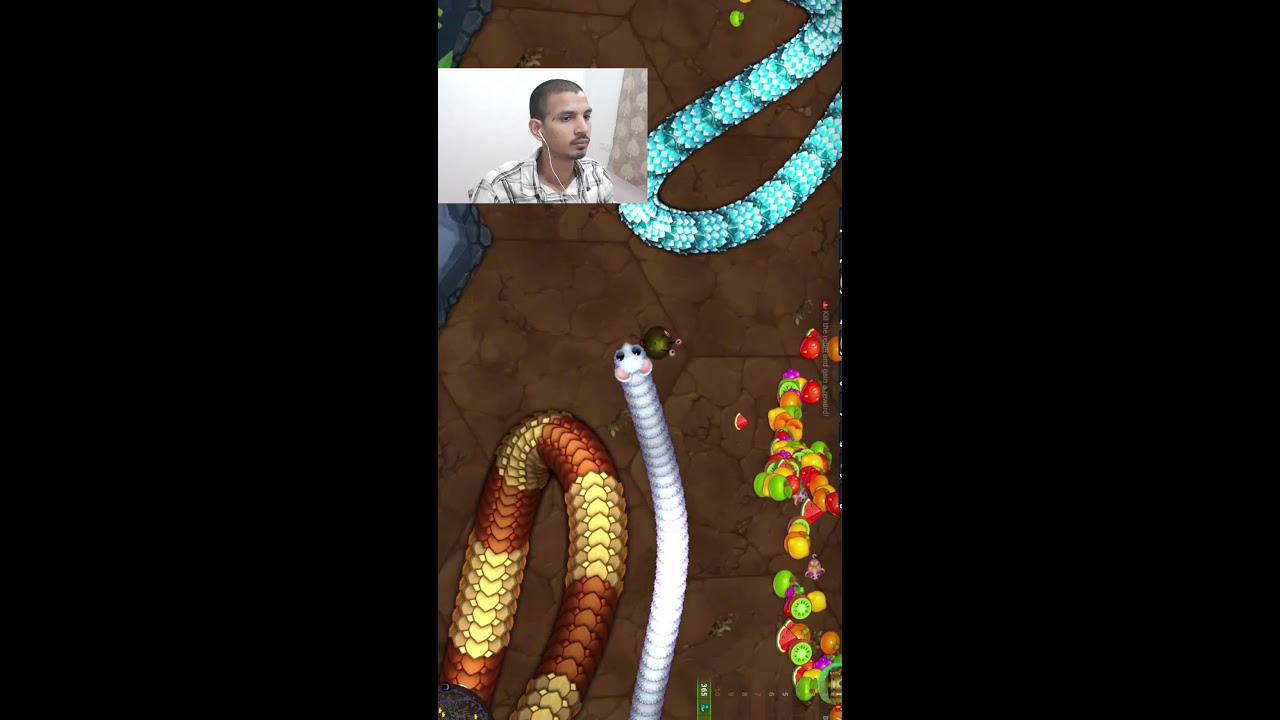 WORMATE.IO LIVE DAY 33 🔴