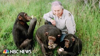 Inspiring America: Jane Goodall's program influences change in communities