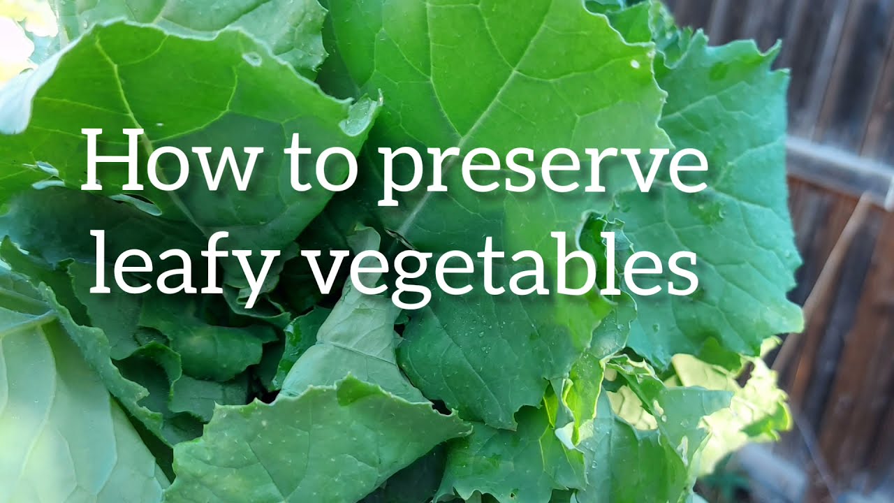 How to preserve leafy Vegetables