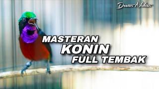 Download lagu KONIN GACOR FULL ISIAN TEMBAKAN MEWAH COCOK UNTUK MASTERAN SEJALURAN KOLIBRI NINJA BAHAN TROTOL