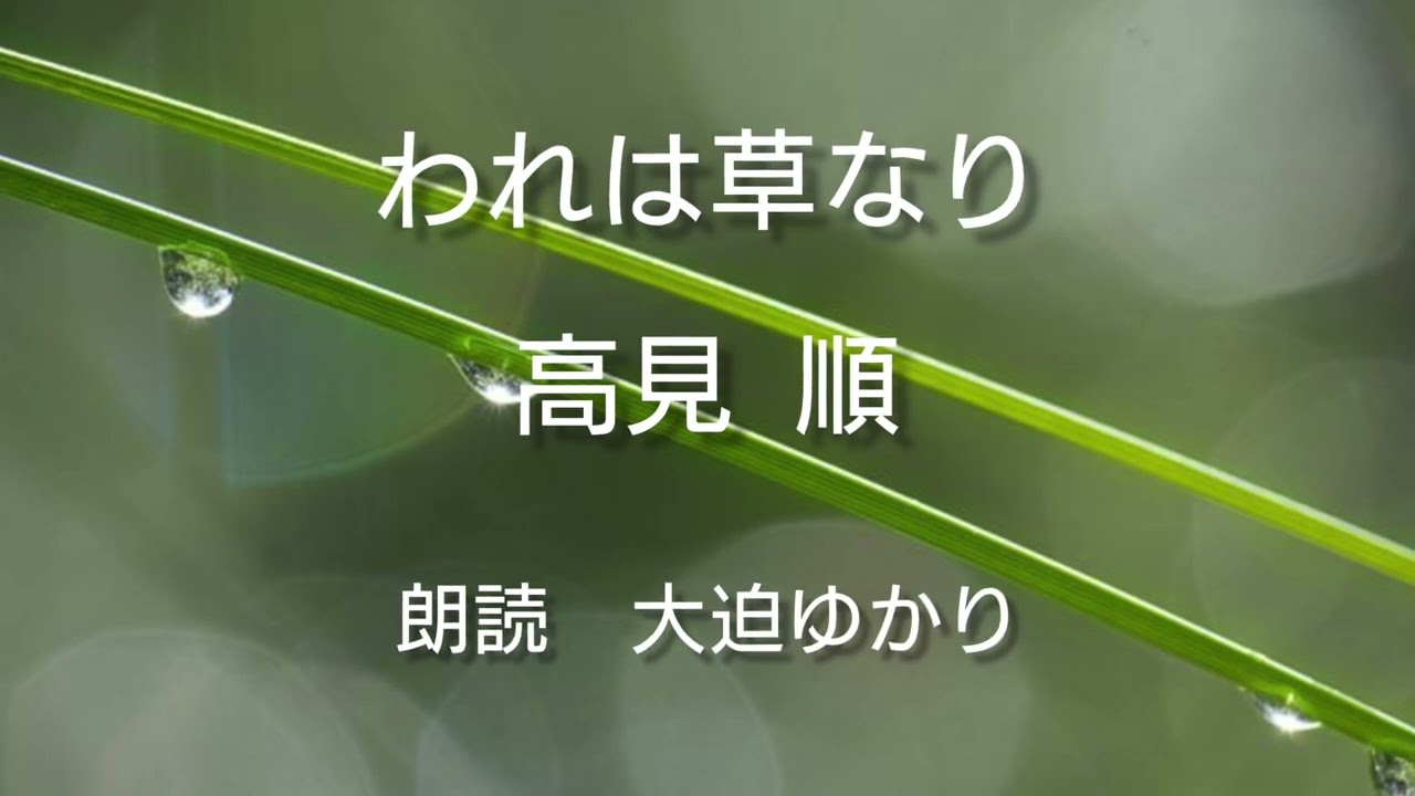 われ は 草 なり