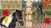 乗馬クラブクレイン湯布院 Youtube 乗馬クラブクレイン湯布院 Youtube