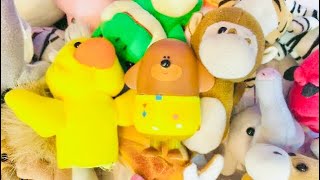 Jungle Animals Fun Facts Learning With Hey Duggee Toys
