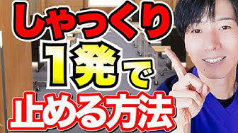 しゃっくり Youtube
