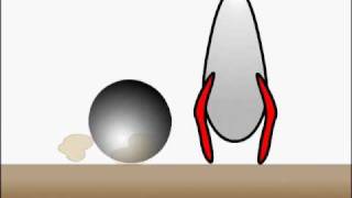Bouncing Ball Project