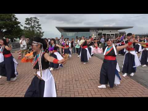 横浜よさこい2019 ～ 聯