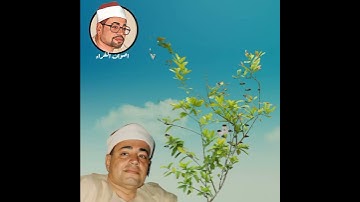 الشيخ شعبان الصياد سورة العلق