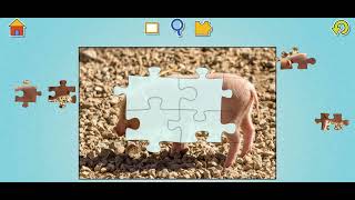 🐖 Piglet Jigsaw Puzzle - Photo Jigsaw Puzzles for Kids screenshot 5
