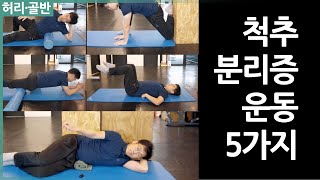 즉시 효과를 보는 척추 분리증 운동 5가지