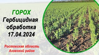 Горох | Гербицидная обработка | 17 апреля 2024