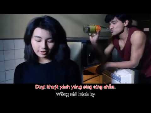 Đồng Hành Cùng Gió Mưa [ Phiên âm tiếng Việt ] 風雨同路 -- 徐小鳳 Paula Tsui -- 粤语歌 - Tiếng quảng đông