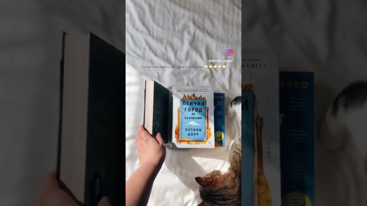 Последние три книги которым я поставила 5 звезд 