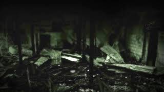 Secure.Contain.Protect SCP the breach "fanmade trailer"