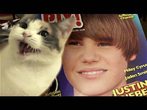 Girls love Justin Bieber, but find out how my female cat reacts to him! Needless to say, she is not a belieber. Please subscribe at www.youtube.com thecatdiaries justin bieber wins grammy speech grammys 2011 accepts best award vevo official music video funny parody hit water bottle angry door fan face better quality hd baby lonely girl one time epic comedy stupid concert gato odia surprises interview crying smoking drinking leaked ludacris karaoke lyrics jaden smith girlfriend gay dead proof female justina