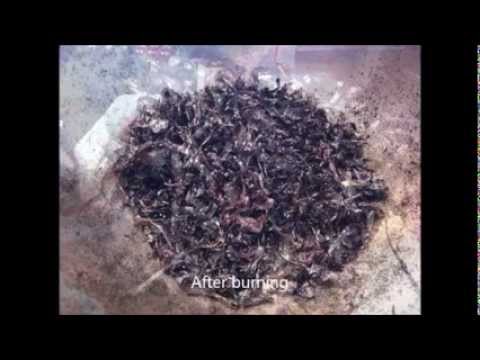 Liquid visualizer with ferrofluid