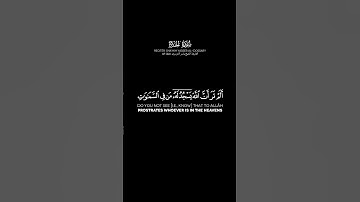 {أَلَمْ تَرَ أَنَّ ٱللَّهَ يَسْجُدُ لَهُ} سورة الحج الآية: 18 | الشيخ ياسر الدوسري #ياسر_الدوسري