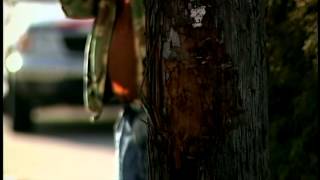 Truckers missing Shippensburg detour