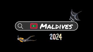 2024.03馬爾地夫🇲🇻水肺潛水+船宿with manta Maldives scuba diving