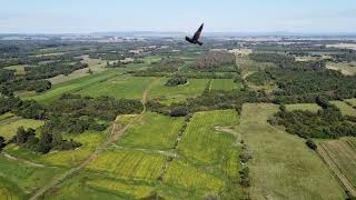 0712 1
