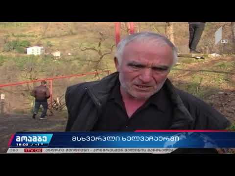 ორი ადამიანი ემსხვერპლა ხელვაჩაურში ხანძარს