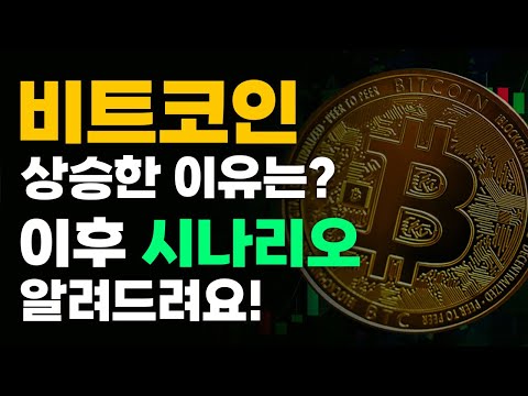 퍼즈의 <strong>포트폴리오</strong>/비트코인 이번 상승의 <strong>의미</strong>/비트코인 시나리오 점검