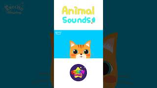 Kids Vocabulary - Animal Sounds - Various Animal Sounds- Learn English for kids #shorts