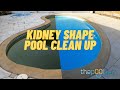 Green to clean kidney shape pool