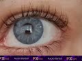 New brand  fx eyes