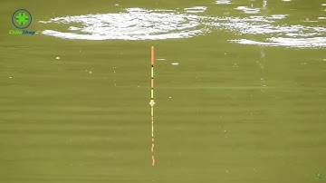 CÂU CÁ TRÁP CÁ HANH TẠI BÌNH ĐẠI | CÁ TRÁP ĂN MÙA LẠNH