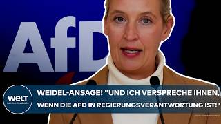 AFD: Knallhart! "Wenn sie nicht freiwillig gehen, dann müssen sie abgeschoben werden - unter Zwang!"