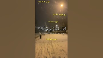 سوره الفرقان (٢٣-٢٦)|القارئ طارق محمد🍁 #تلاوات