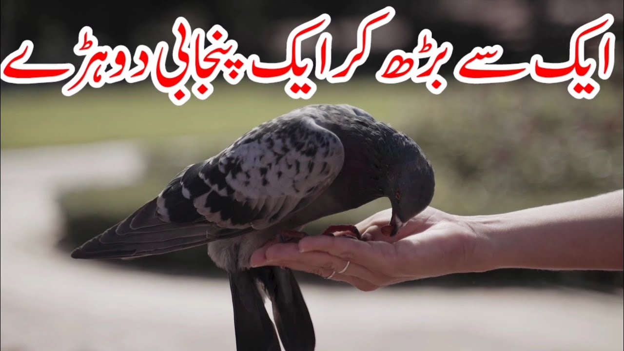 Allah Paak Di Zaat Kainaat Bna | Khizar Hayat Gull Poetry | Sad Shayari | New2022